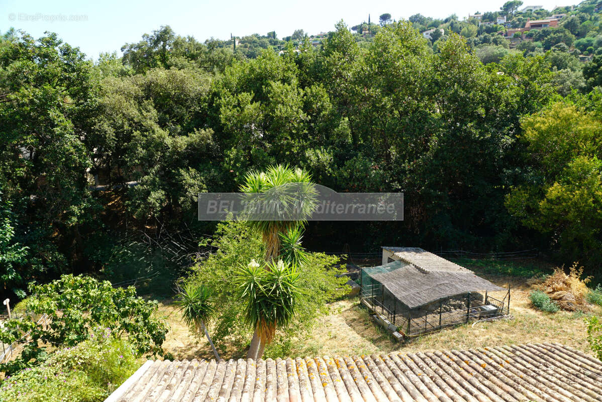 Villa 3 chambres, avec piscine et dépendances - photo 24