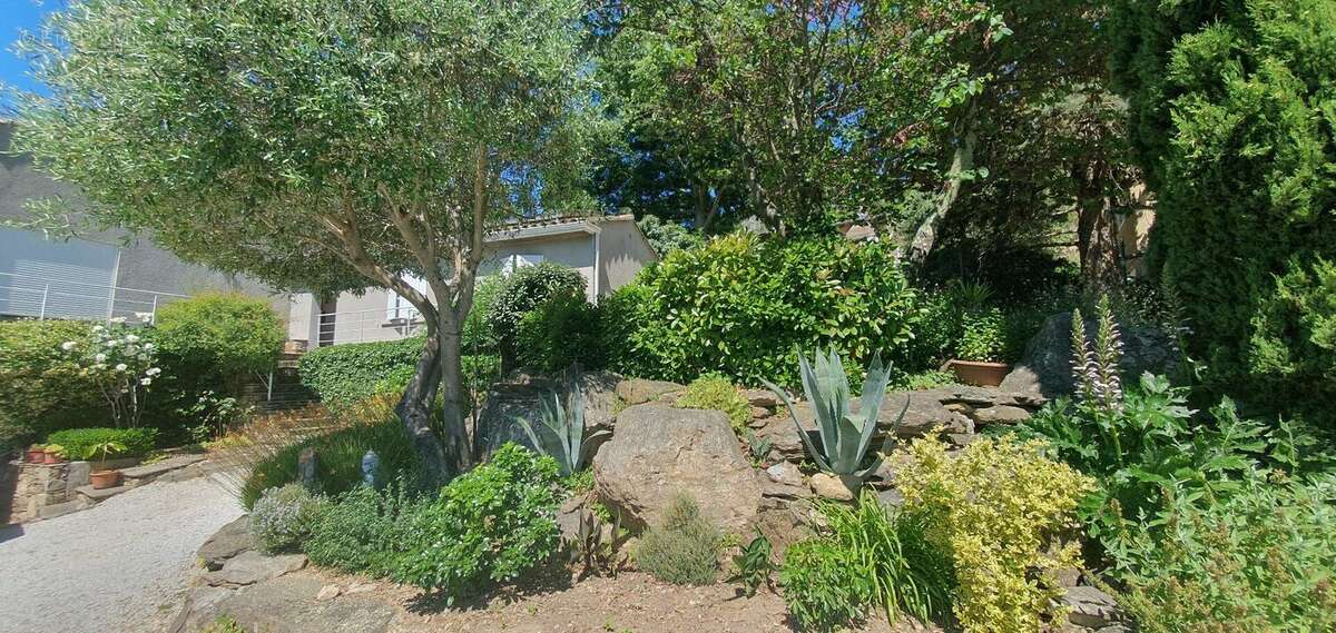 Photo 8 - Maison à COLOMBIERES-SUR-ORB