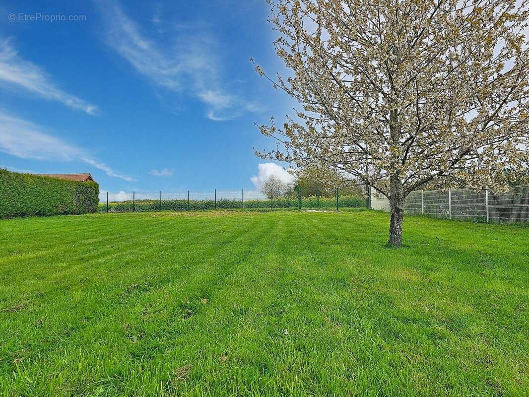 Photo 3 - Maison à PROVINS