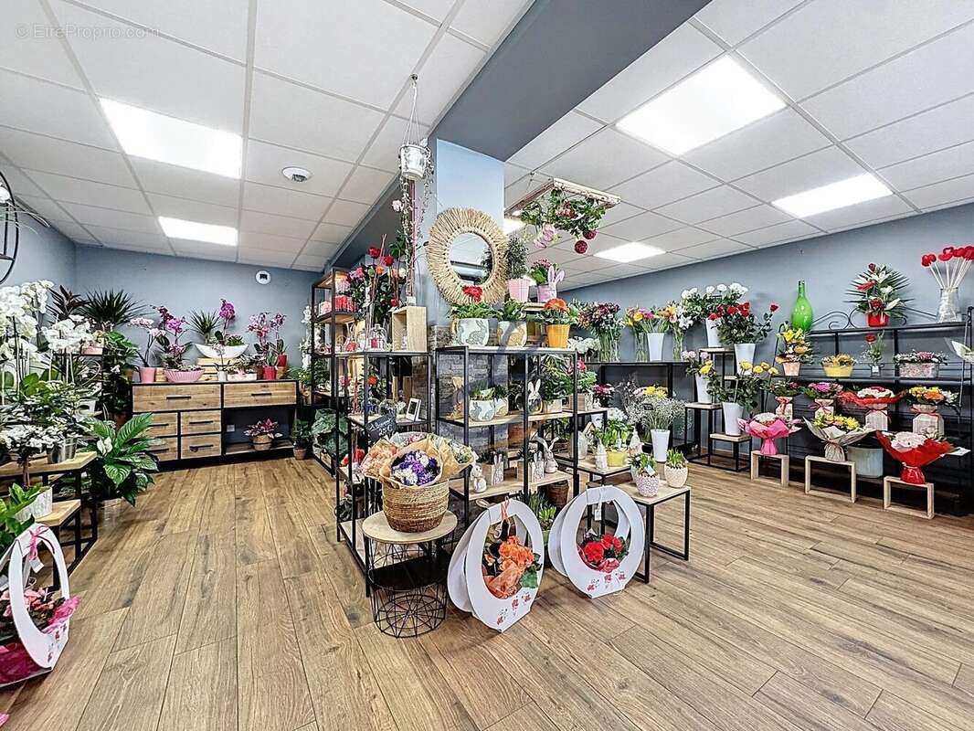 Commerce à LA VERPILLIERE