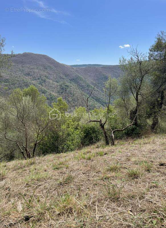 Rare à Pierrefeu : 3 046 m² de nature dont 1 084 m² constructibles, accès direct et étude de sol déjà réalisée - photo 11