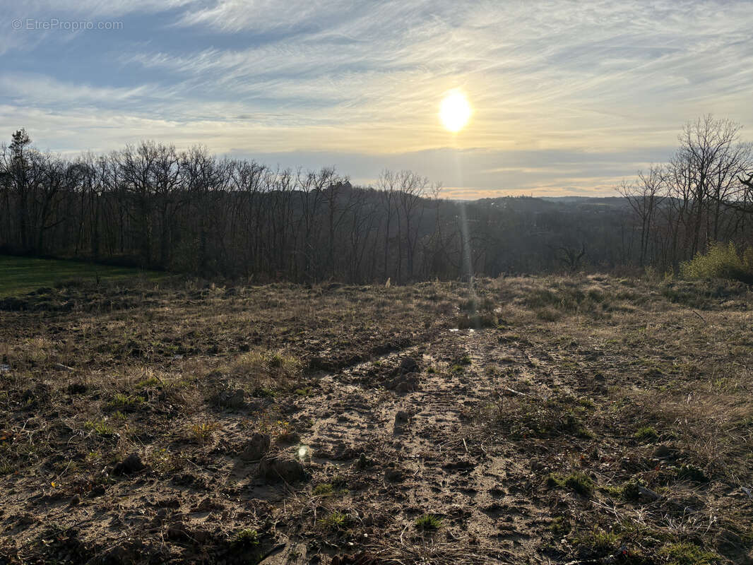 Terrain à BRIVE-LA-GAILLARDE