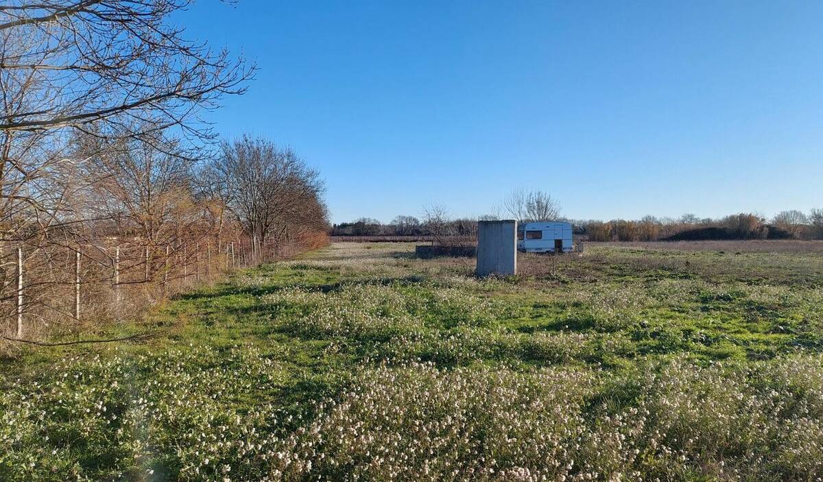 Photo 1 - Terrain à LE CAILAR