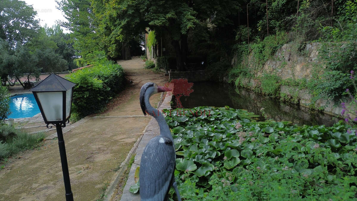 LE POUGET Propriété Agricole de 21143 m2 avec tennis et piscine et terrain de pétanque. - photo 54