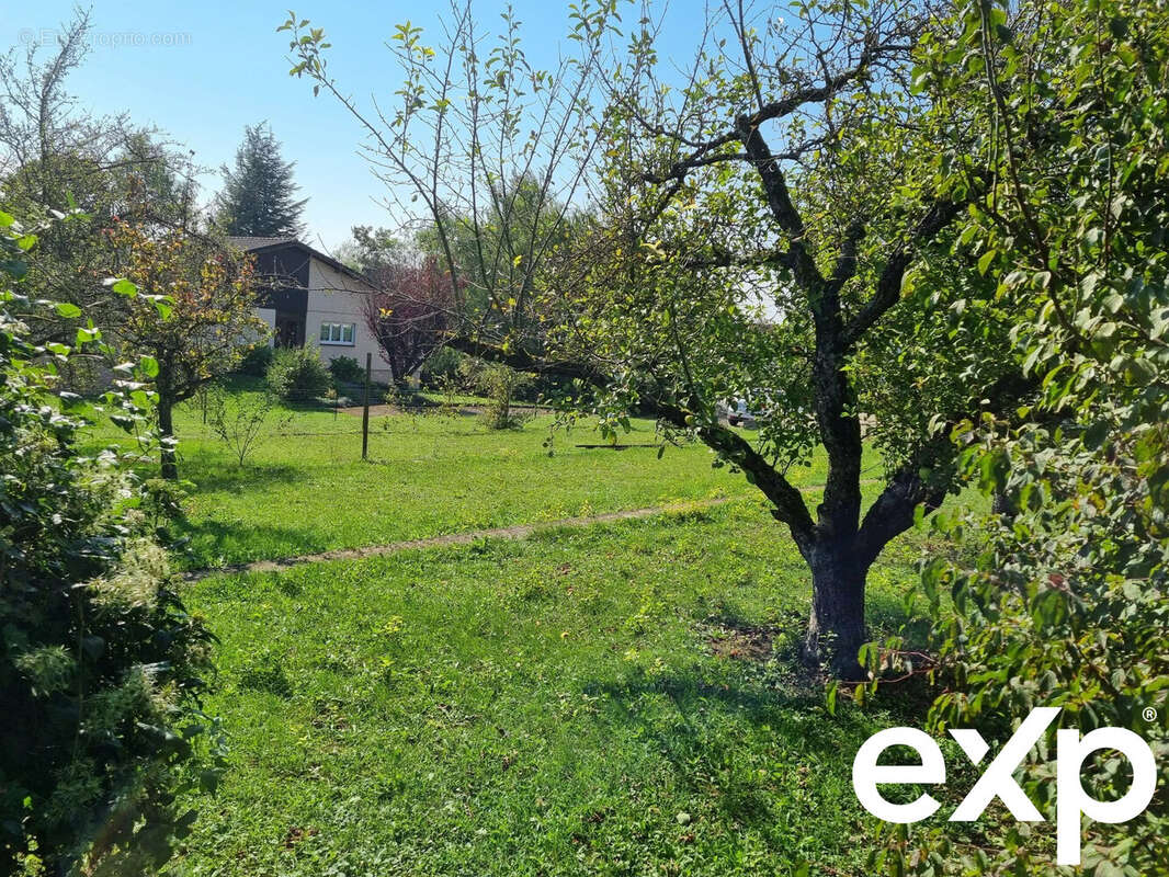 Terrain à SARREBOURG