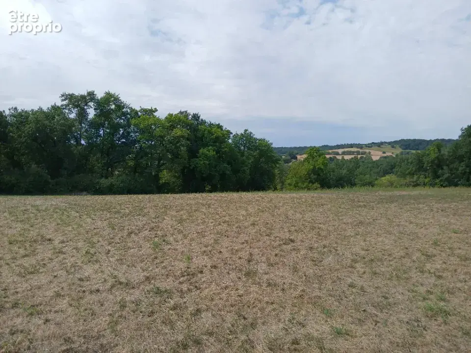 Terrain à SAINT-MARTIN-DE-RIBERAC