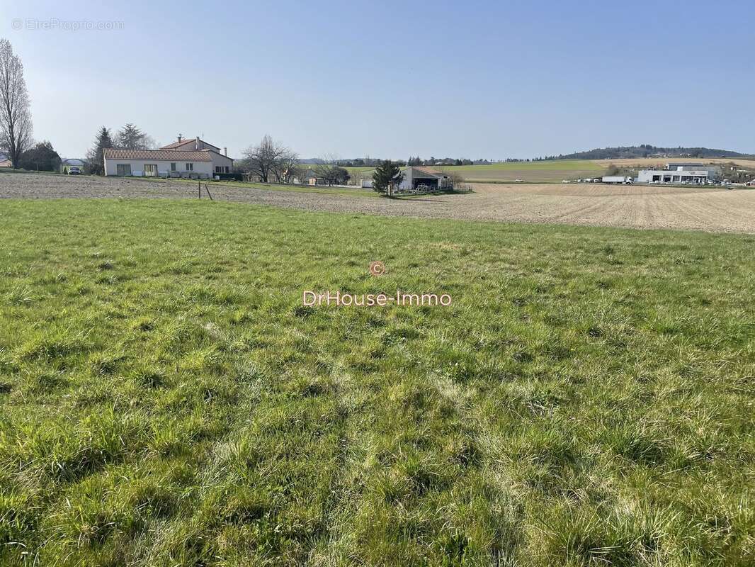 Terrain à VILLEBOIS-LAVALETTE