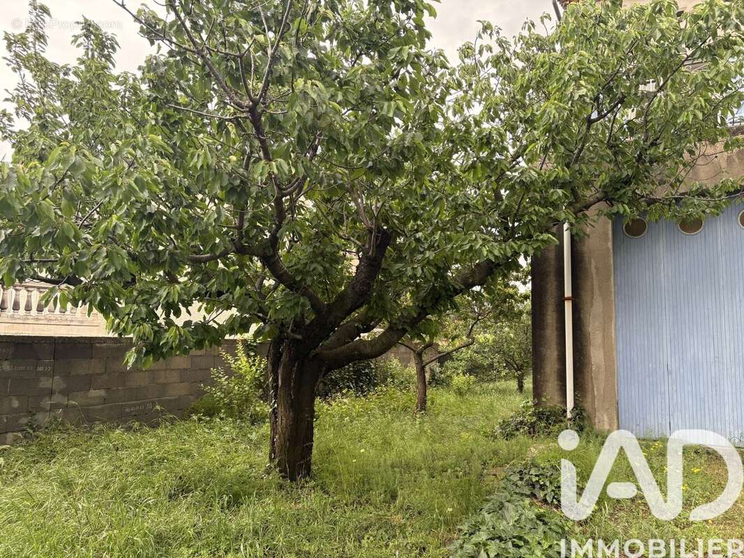 Photo 9 - Maison à CARCASSONNE