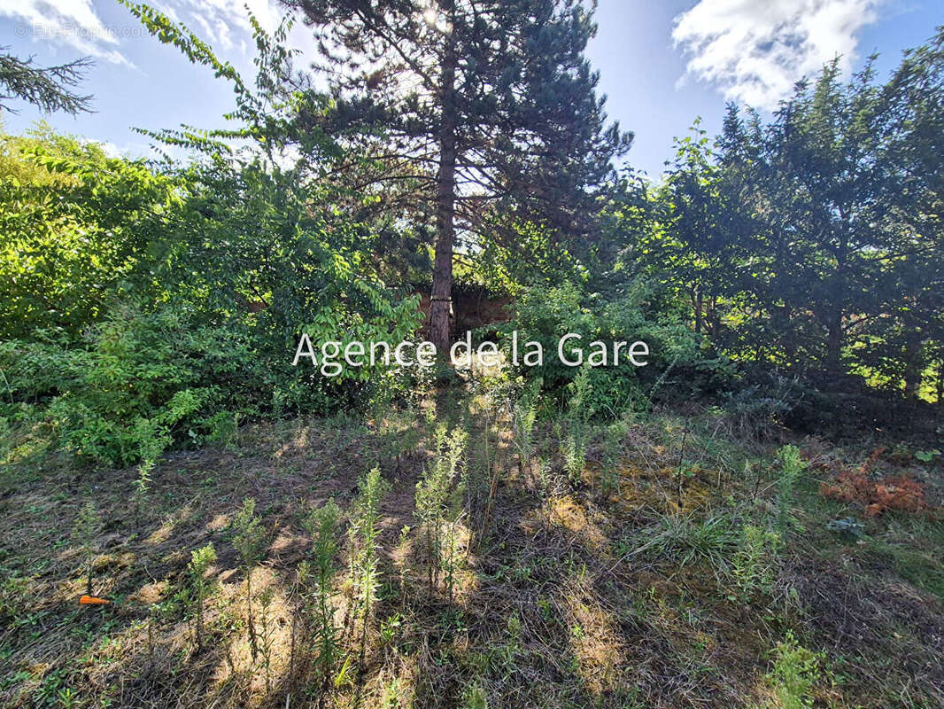 Terrain à SARTROUVILLE