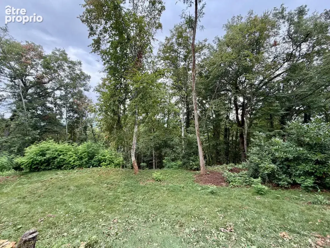 Maison de charme dans les bois - photo 22