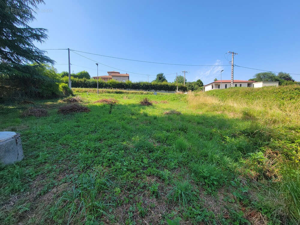 Terrain à LA CHAPELLE-DE-SURIEU