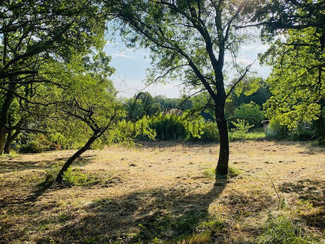 Terrain à UZES
