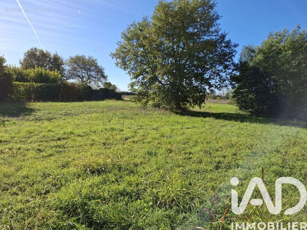 Terrain 902 m² à Bressols  - photo 2