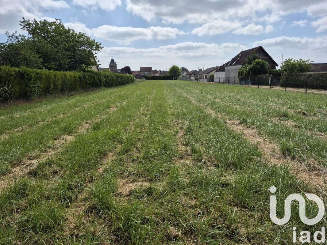 Photo 2 - Terrain à GELANNES