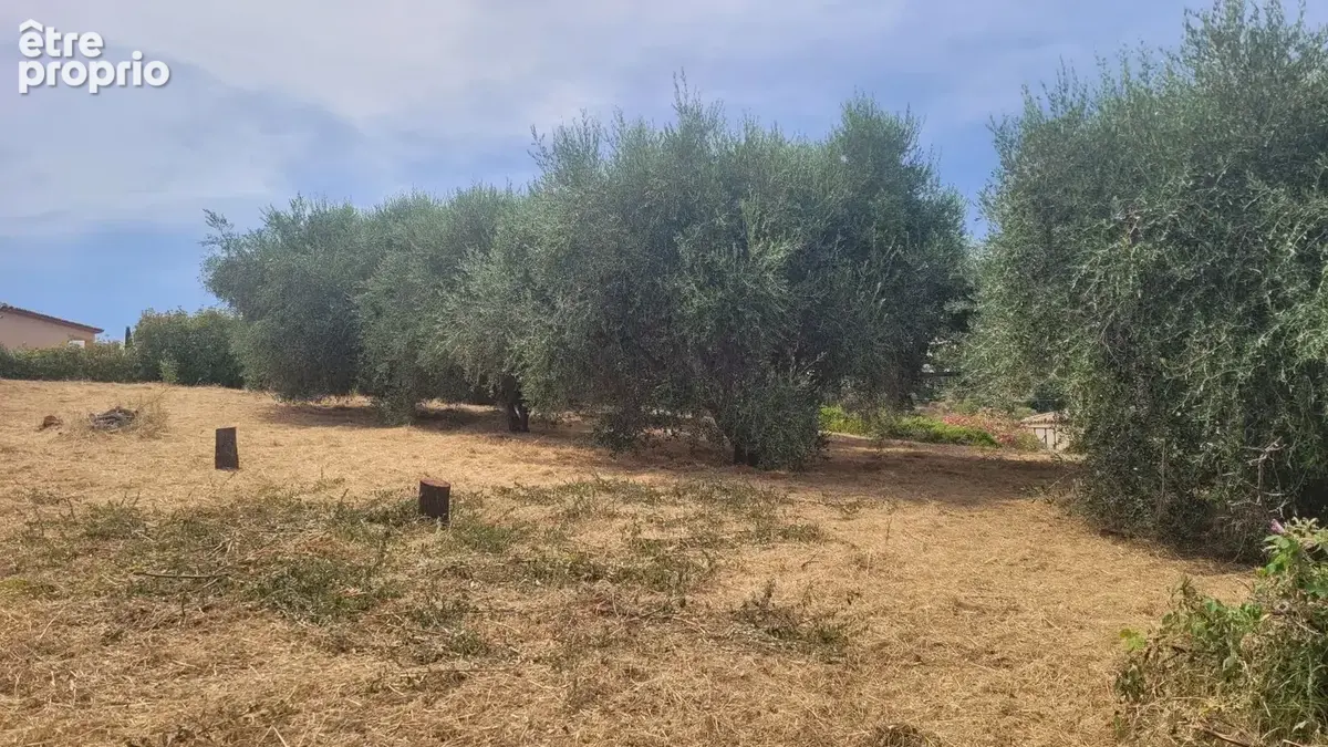 Terrain à bâtir de 856 m² à SAINT-LAURENT-DU-VAR (06) - photo 7