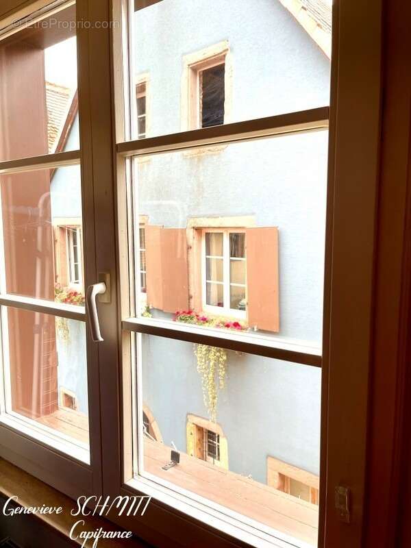 Dpt Haut-Rhin (68), à vendre ZELLENBERG immeuble 197 m² - photo 13