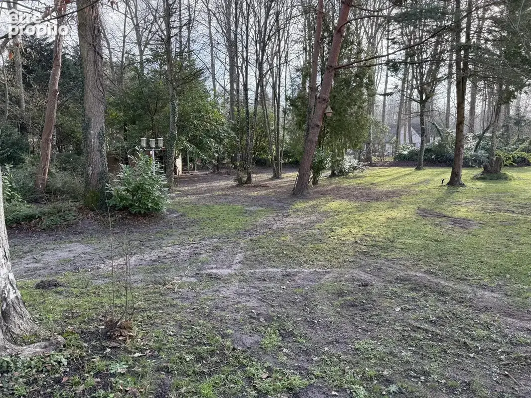 Noisy-sur-ecole (77123) proche milly-la-foret (91490) - photo 17
