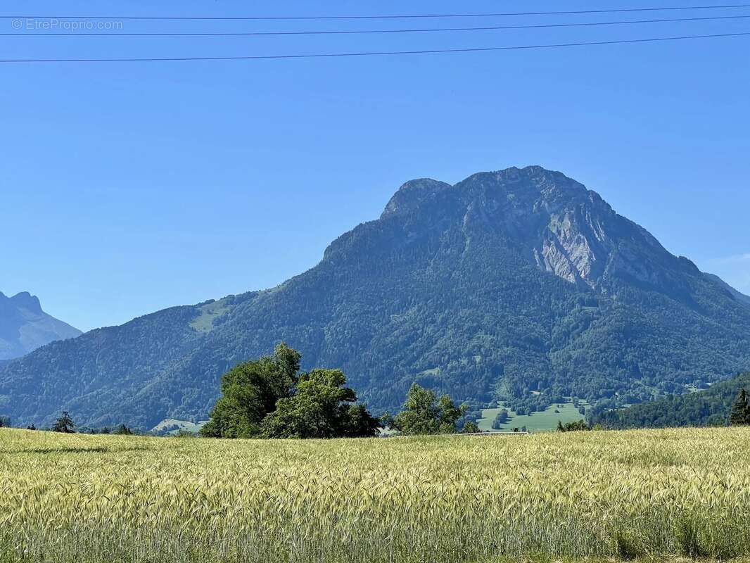 Terrain constructible - photo 3