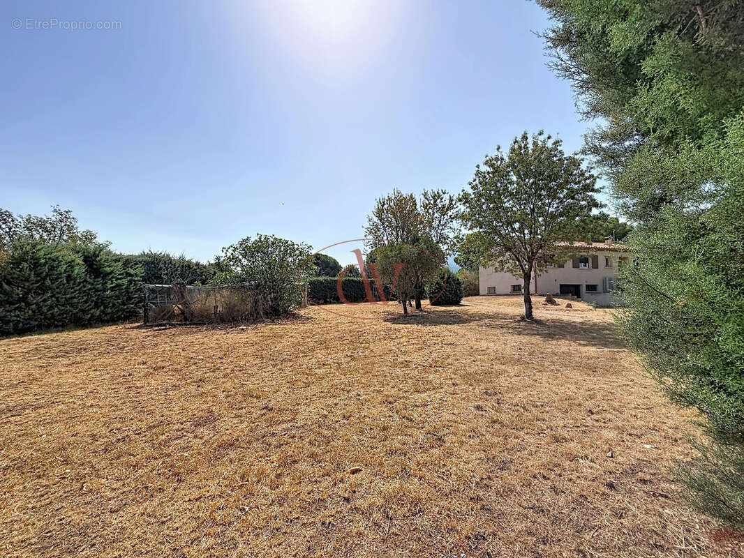 Maison plain pied 4 faces 100m2 - parcelle 3106m2 encore constructible - ( villelongue-dels-monts ) - photo 7