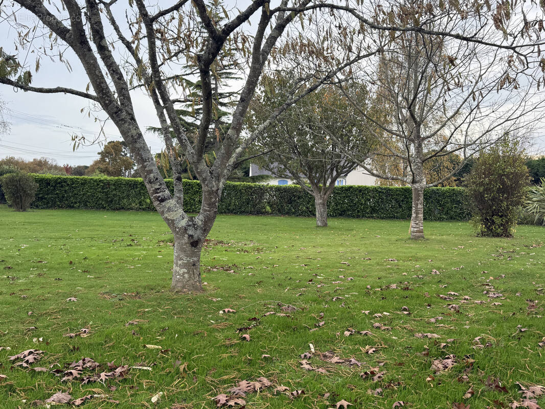 Terrain à HERBIGNAC