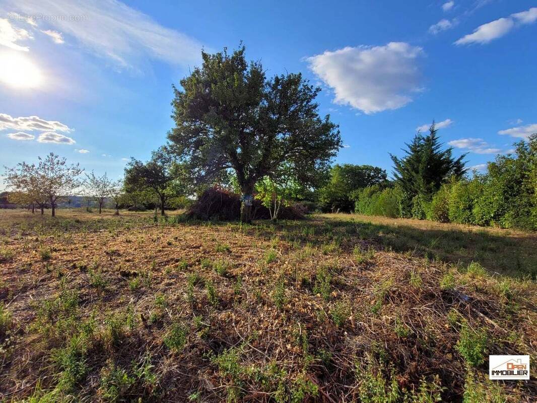 Terrain à CHASSIGNOLLES