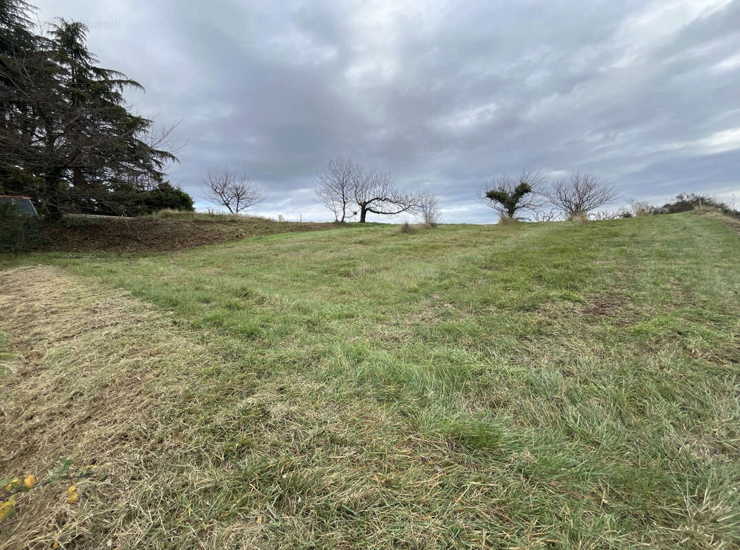 Terrain à CROZES-HERMITAGE