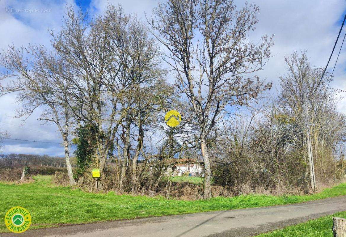 Terrain à MENETOU-COUTURE