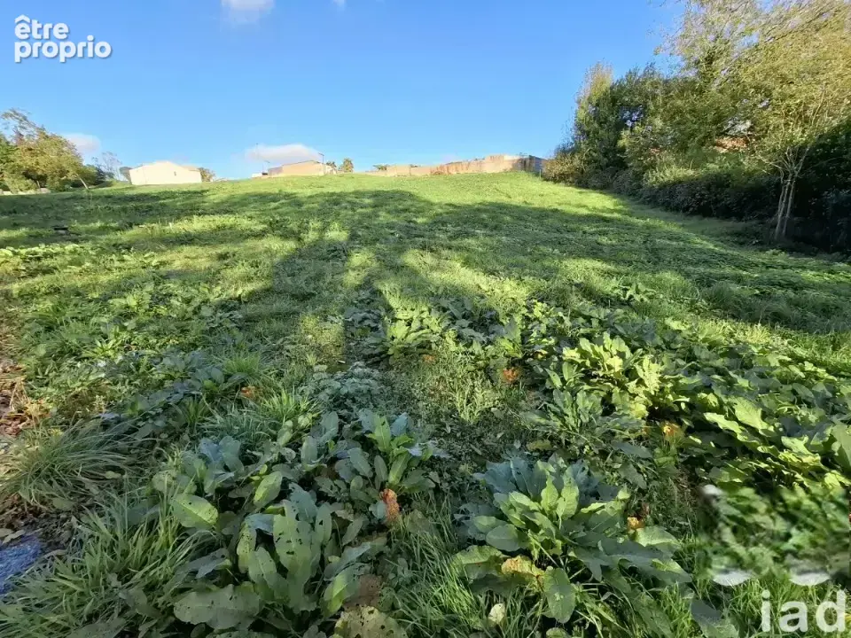 Terrain à LA ROCHE-SUR-YON