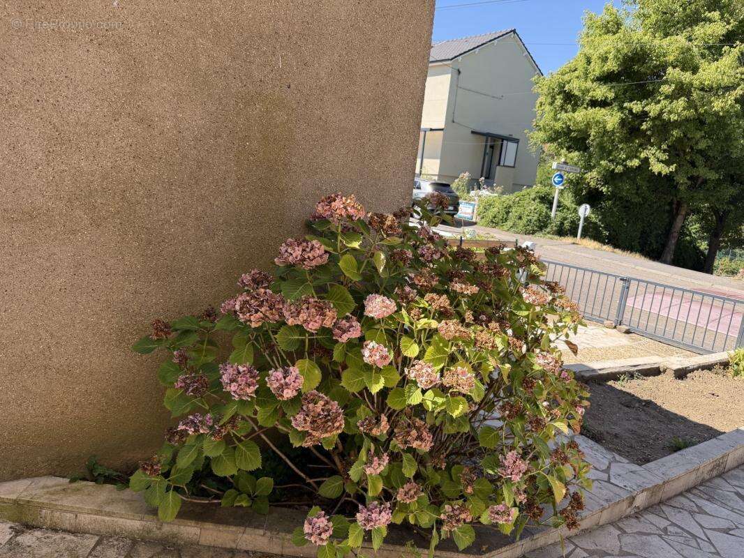 Maison à vendre 3 pièces SEREMANGE ERZANGE (57) - photo 11