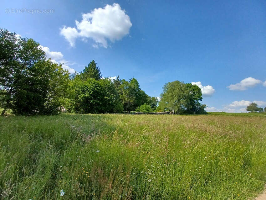 Terrain à PUY-SAINT-GULMIER