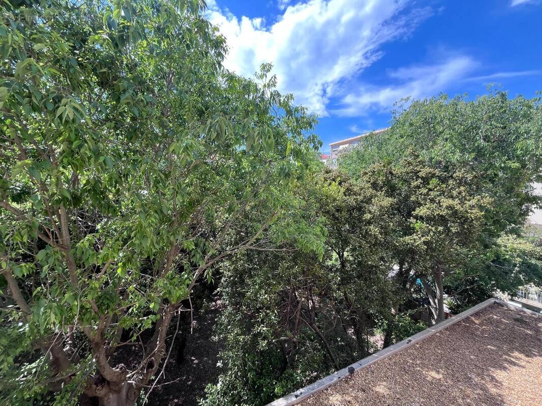 Photo 1 - Appartement à SETE