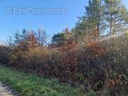 Terrain à CHATILLON-SUR-CHER