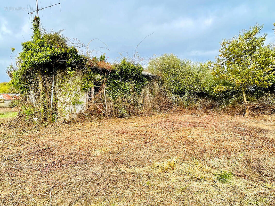 Maison à LAVAUSSEAU