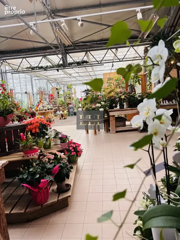 Fonds de commerce fleuriste & jardinerie 1400m2 - photo 3