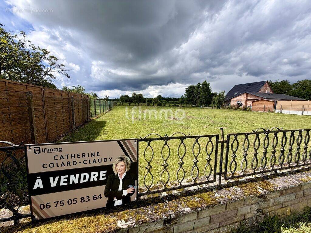 Terrain à DAUBENSAND
