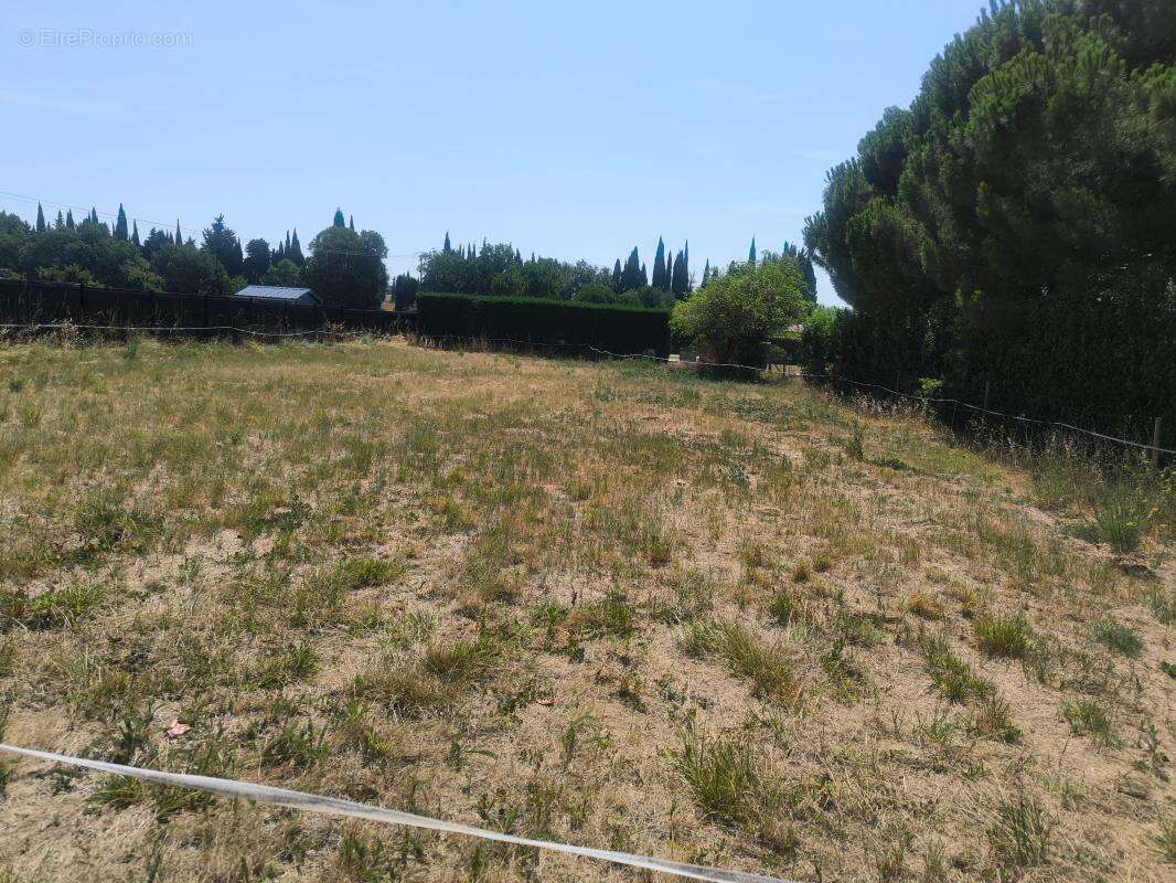 Terrain À Vendre 746 M2 PLAT - photo 3