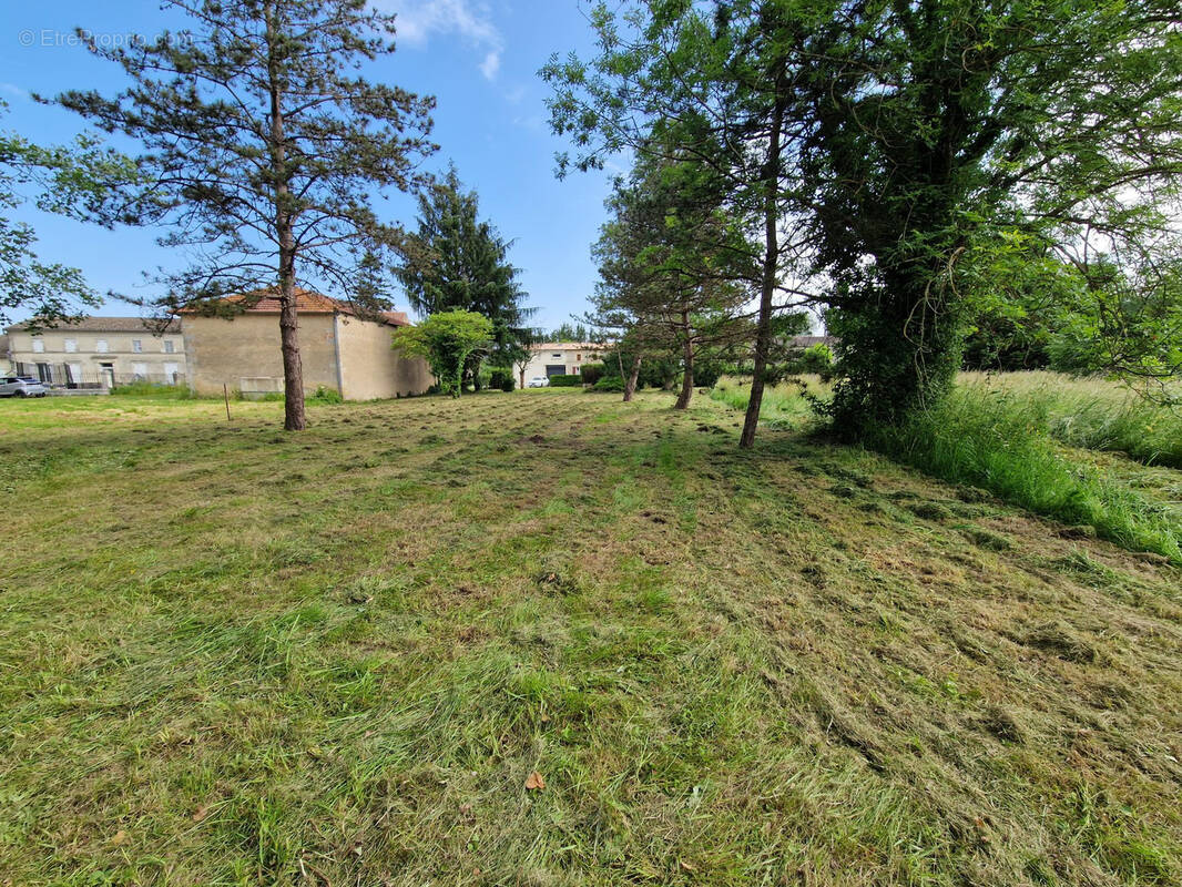 Terrain à SAINT-CIERS-SUR-GIRONDE