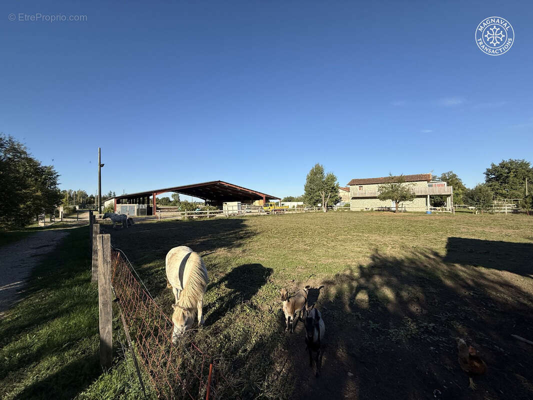 Centre équestre complet (Tarn-Occitanie) - photo 14