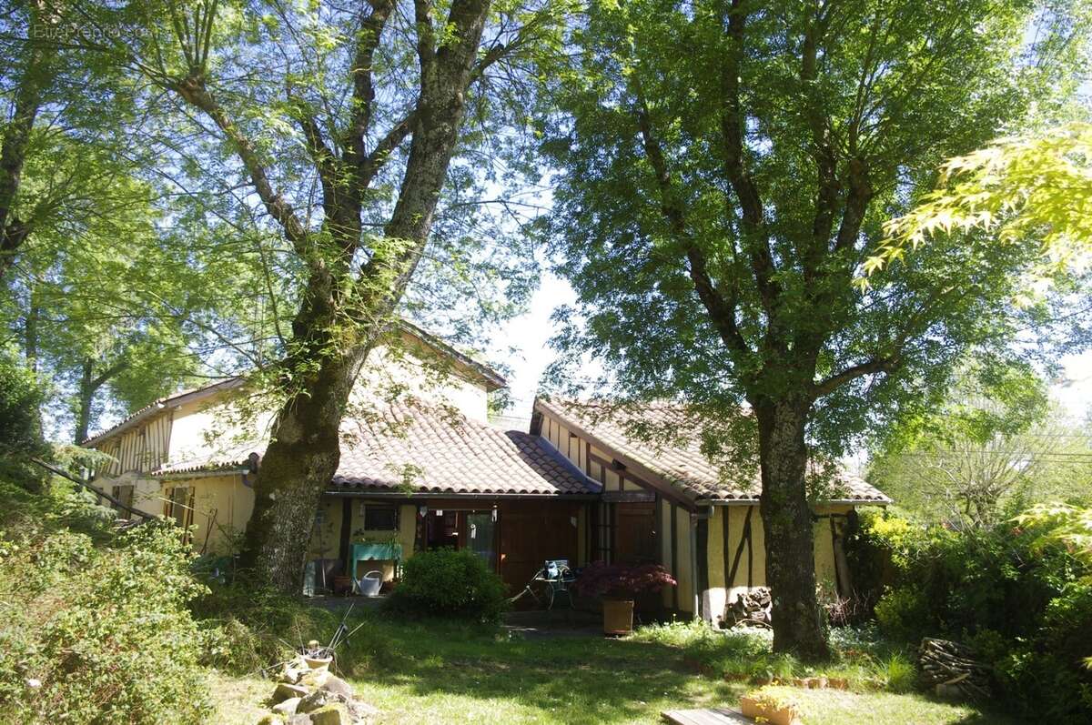 à VENDRE  proche Aignan  propriété de charme  sur 3646 m² de terrain avec piscine et Gîte séparé - photo 2