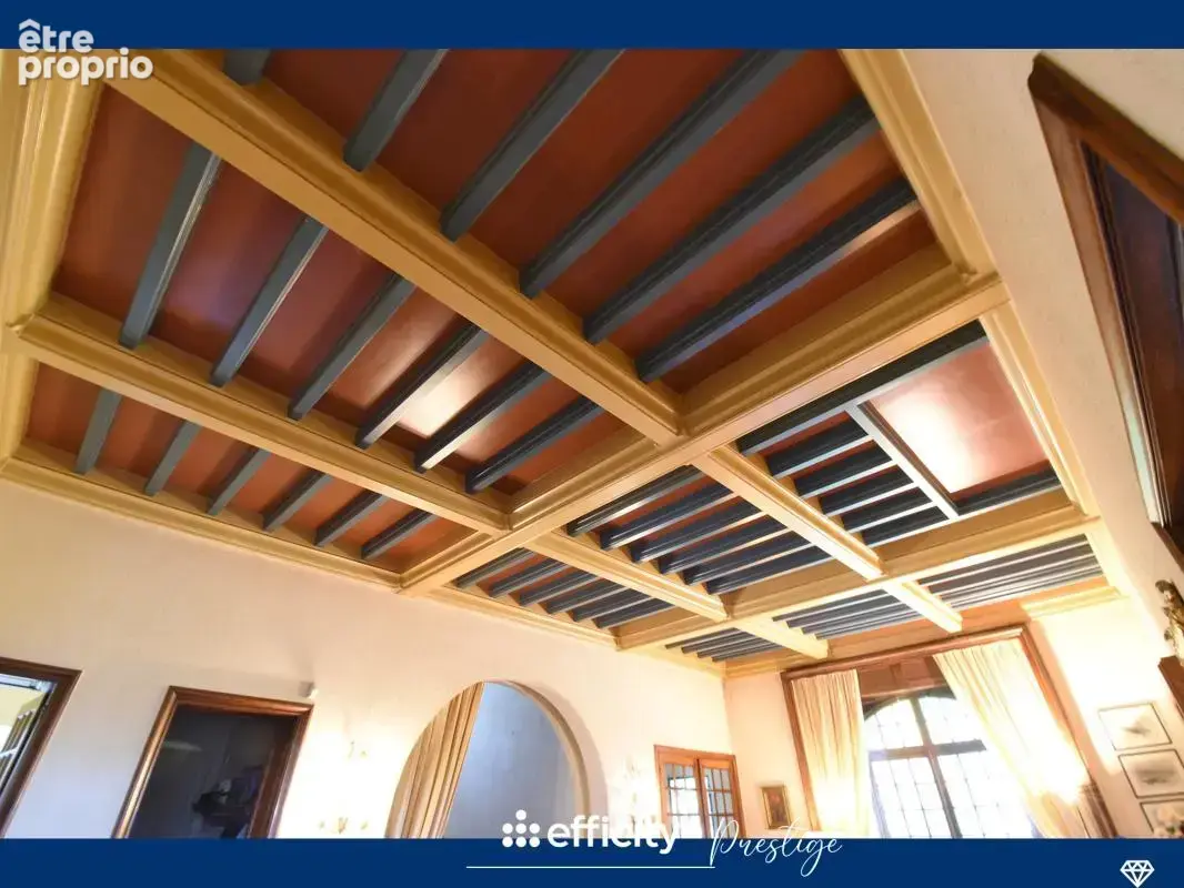 Maison 16 pièces 450 m² à vendre à Chazelles-Sur-Lyon (42140) - photo 10