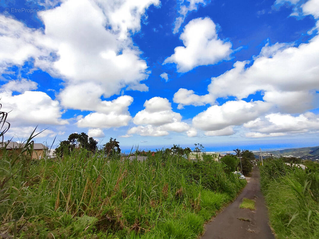 Photo 1 - Terrain à LE TAMPON