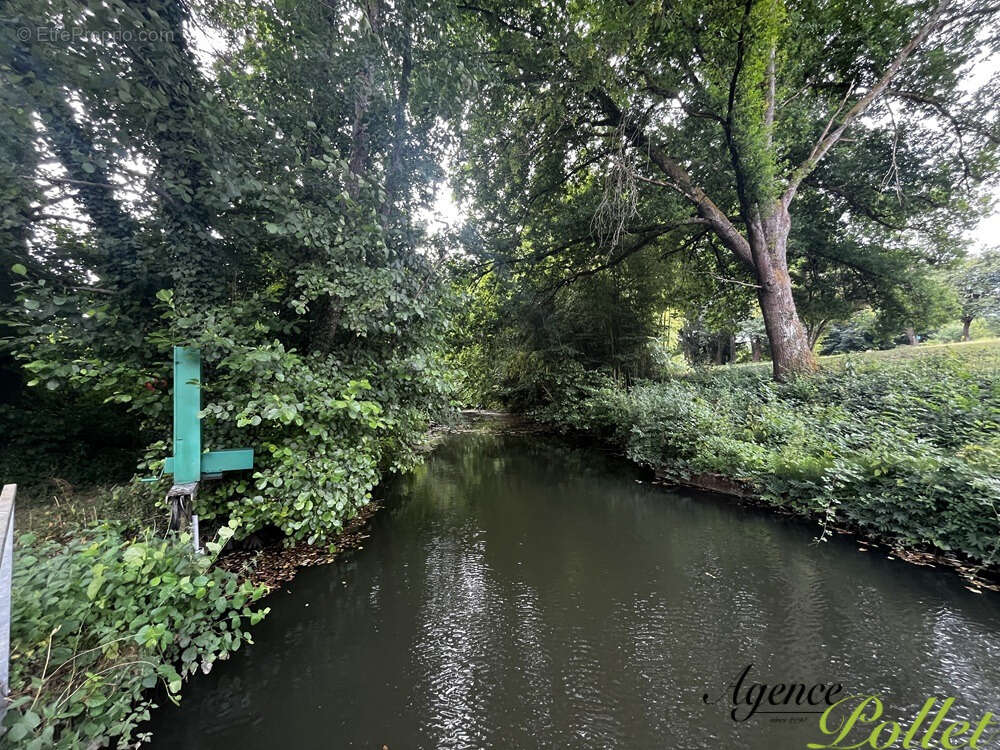 Propriété 9,5 ha : maisons, moulin, dépendances, 3 étangs - photo 16
