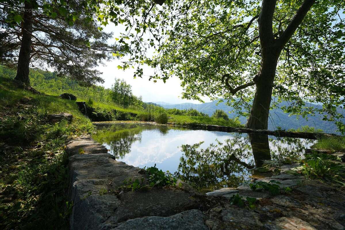 Exceptionnelle propriété de plus de 54 hectares – Vue panoramiqu - photo 4