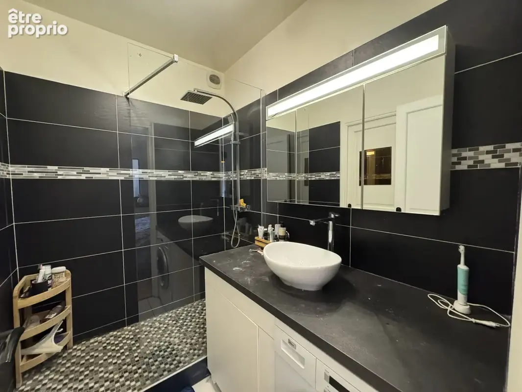 St Maur la Varenne 2p 52m2 et 60m2 de terrasse et jardin - photo 6