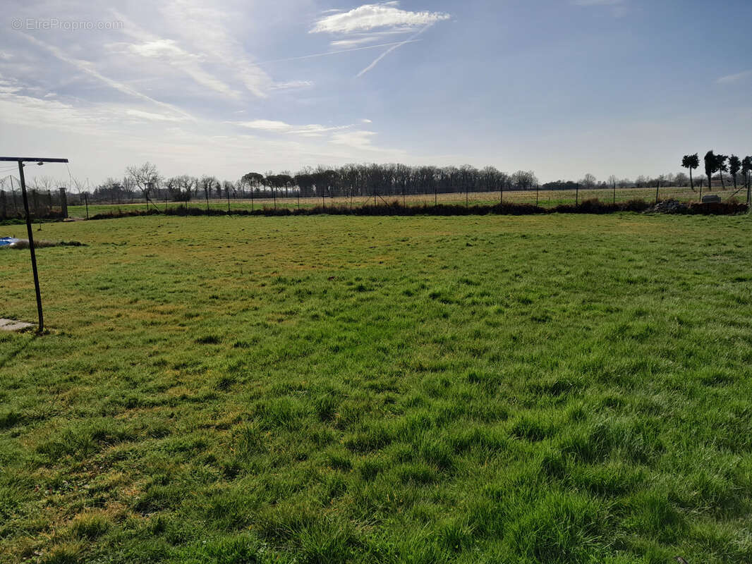 Maison à CASTELSARRASIN