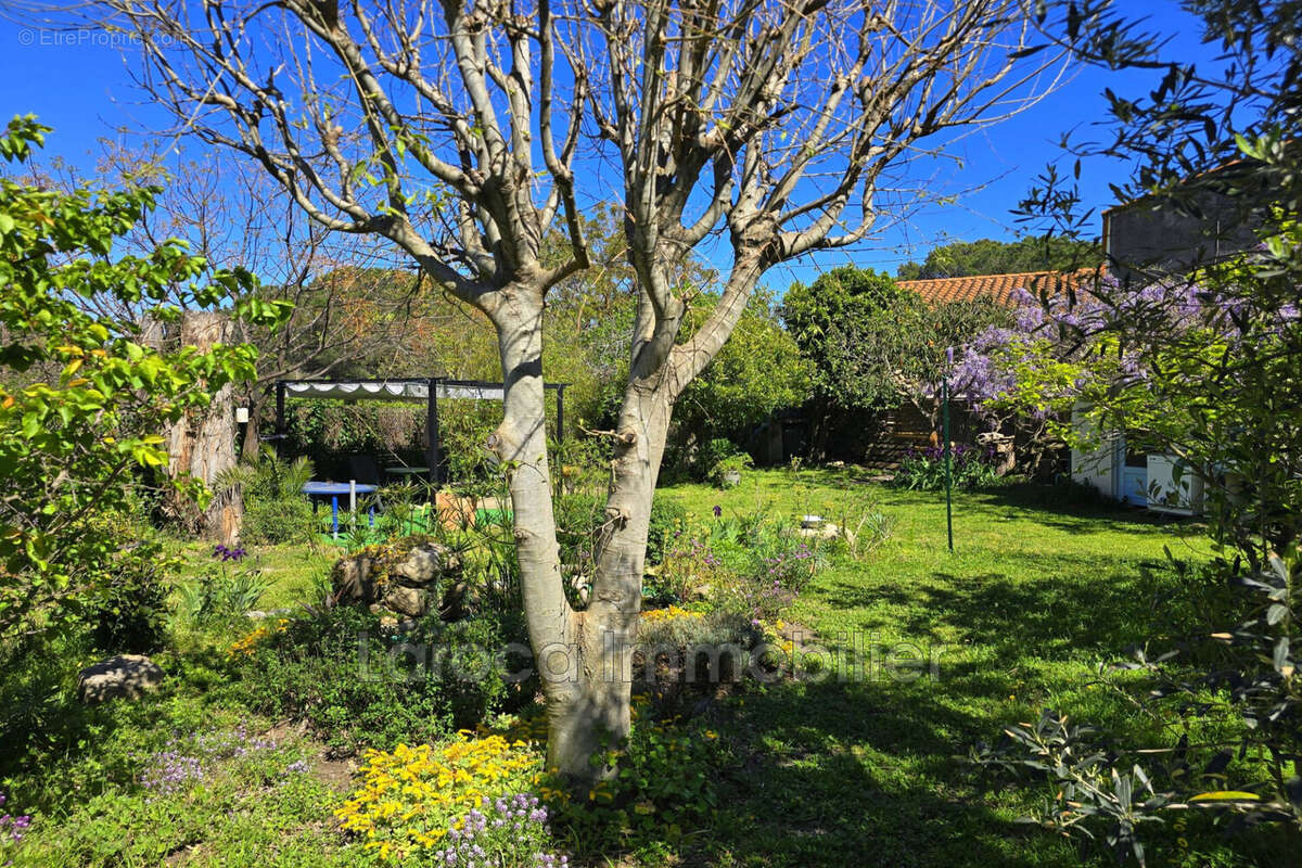Maison à MONTESQUIEU-DES-ALBERES