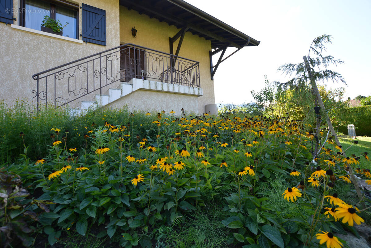 Maison à SCIONZIER