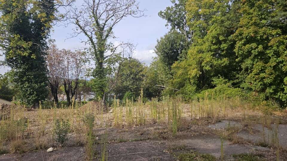 Terrain à SAINT-VALLIER-DE-THIEY