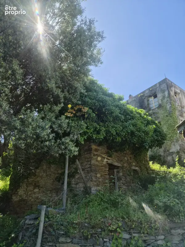 Maison Canari à rénové - photo 5