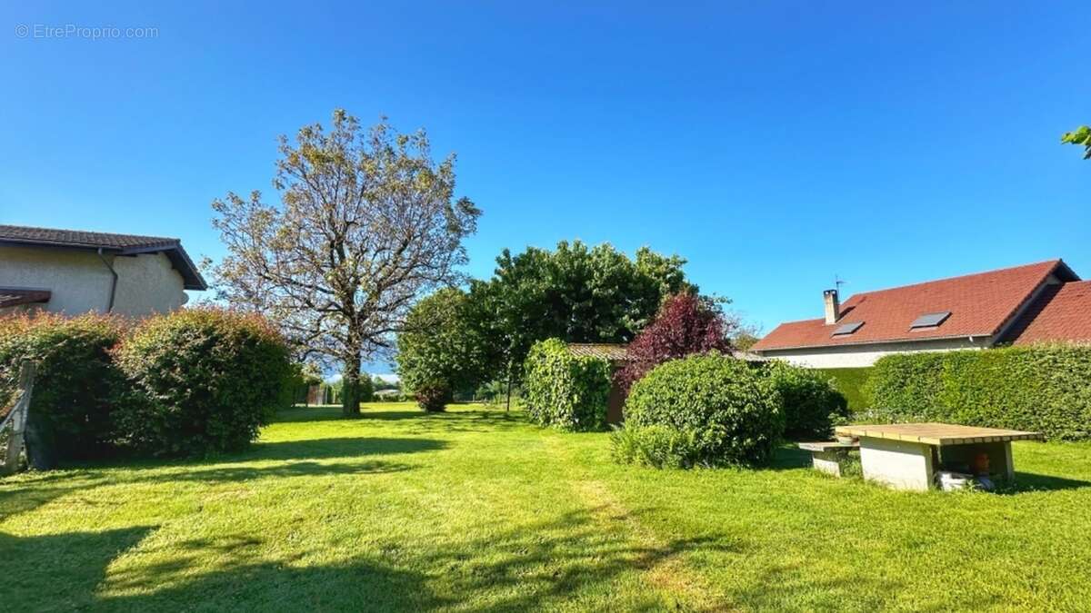 Terrain à LA MURETTE